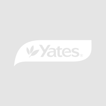 Yates logo